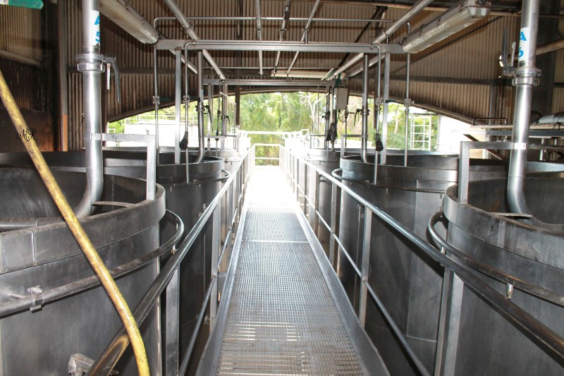 Inside a Marie-Galante rum distillery, where Caribbean heritage is crafted